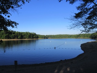 August 5.  Friday morning:  Jean and I went birdwatching over at nearby Walden Pond. 