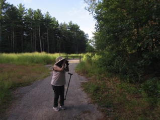 August 11.  Friday kicks off the weekend. As it is a travel day, folks wander in as they arrive.
Jean and I first head over to Assabet River NWR to check on the birds.