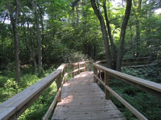 July 26.  They have a nice path around the Arboretum, with lots of walking trails.