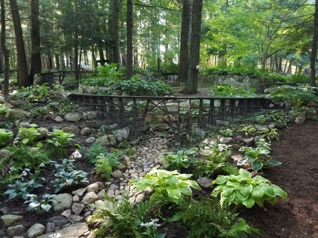 July 28.  Stan and Deb have been working on this trestle and the plants.