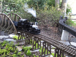 I also got a chance to run my live steam Shay.
